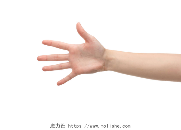 白色背景上一个女人伸出五根手指妇女在白色的手掌上被隔离的剪影